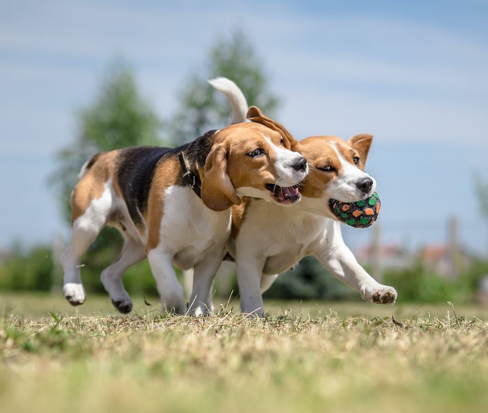 Question of the Week